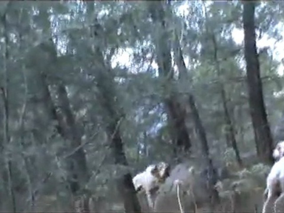 BABALI  KIZLI FERMA & PATRONE