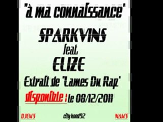 a ma connaisance SparkvinS feat Elize