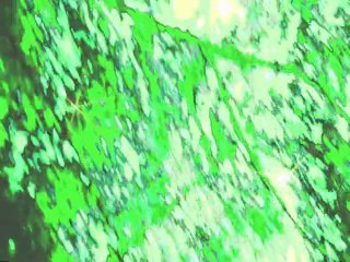 Me he enamorado de ti