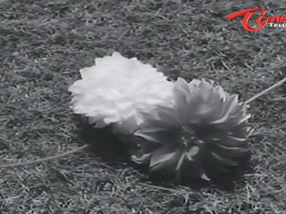 Mangalya Balam Songs - Vaadina Poole - ANR - Savithri