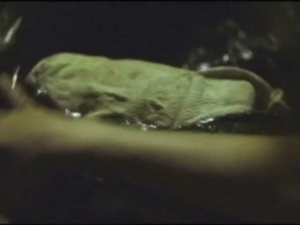 The Caller - Clip #1 Buried