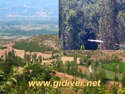 Dalkaya(Gidiver) köyü-Al beni götür beni gidiver.net