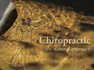 Promodocs!, Products for the modern clinic,chiropractic patient education