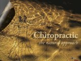 Promodocs!, Products for the modern clinic,chiropractic patient education