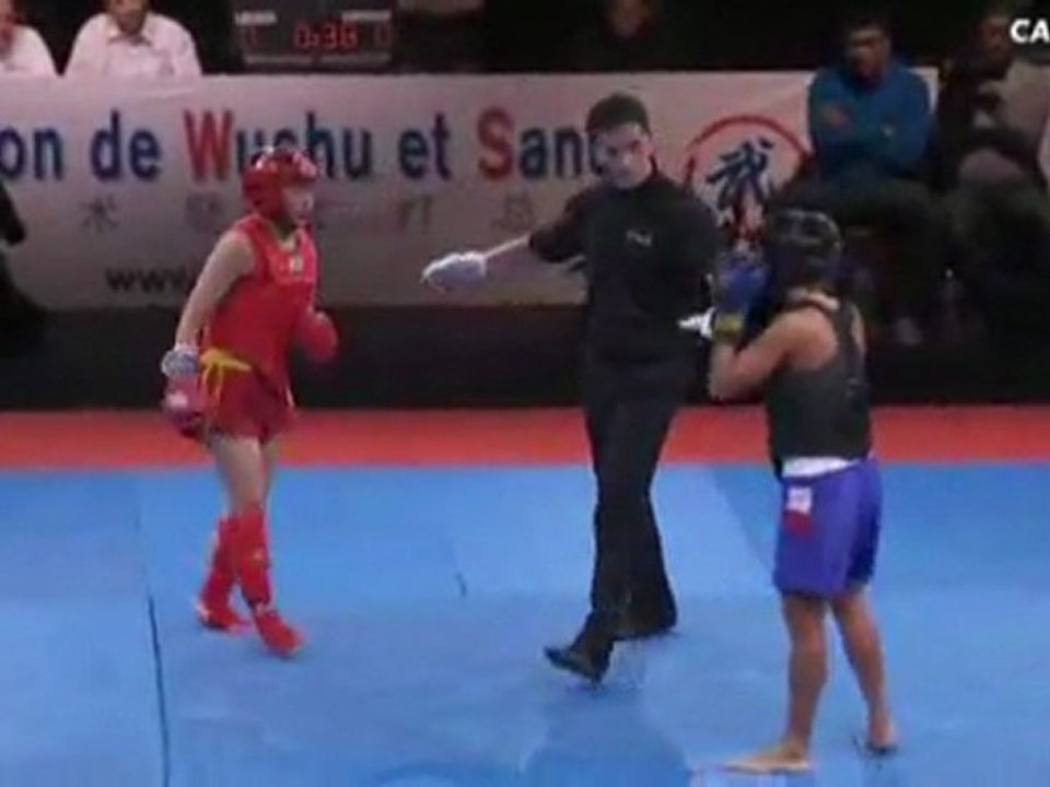 Le gala international de Boxe Chinoise Sanda Kung Fu 2011 - CANAL STREET (2èmre Partie)