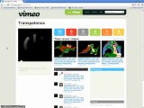 TRANSPATONOX - Vimeo
