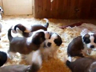 Portée ELFE et EXPRESSO 2012