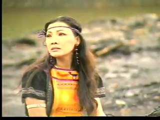 Về Lại Đồi Sim - tân cổ - daovien.net