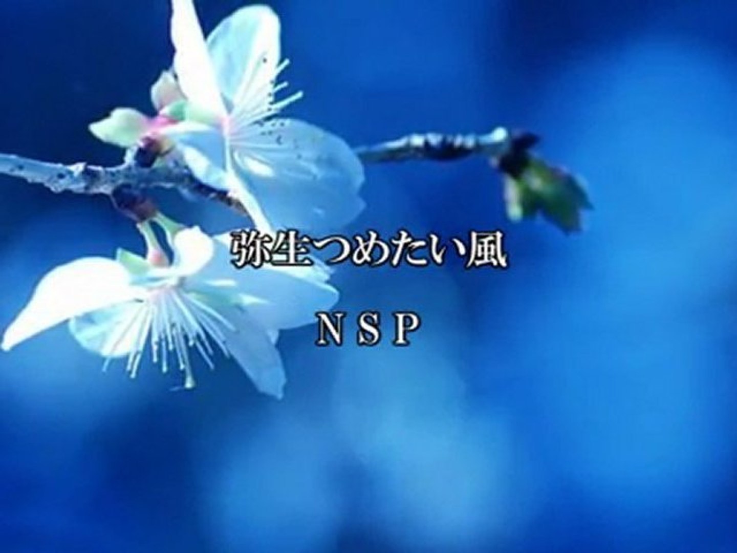 弥生つめたい風 Nsp 動画 Dailymotion