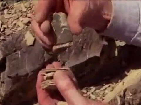 Apocalypse vor 450 Millionen Jahren-Ordovizium-Silur-Grenze Tödliche Gamma-Strahlung _ Episode 1 von 8