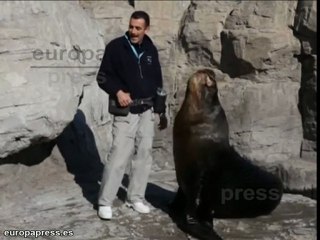 El Oceanogràfic celebra su noveno aniversario