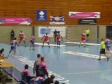 LNH : Cesson Rennes Métropole - Paris Handball / 15ème Journée