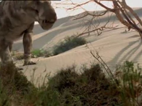 Die Ahnen der Saurier -2- vor 280 Millionen Jahren - Perm