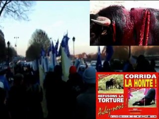 MANIF ANTI-CORRIDA à PARIS 2012