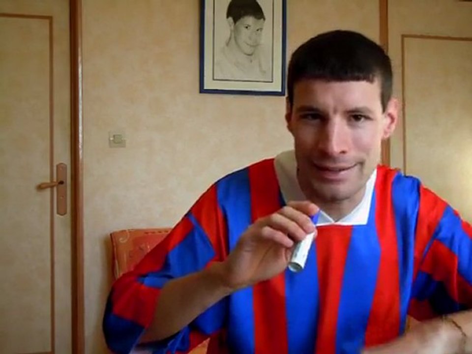 parodie tu gerbera version 2012