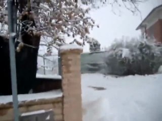Oliveto Sabino nevicata in atto