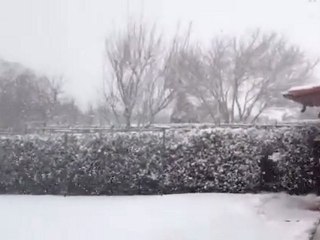 Nevicata venerdì 10 febbraio