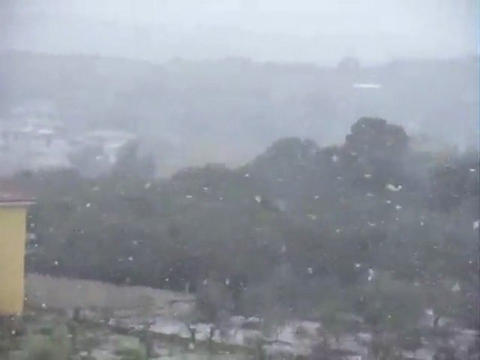 neve arbus