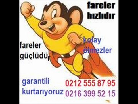 Dağıtım, Broşür Dağıtımı, El İlanı Dağıtımı, İnsert Dağıtım