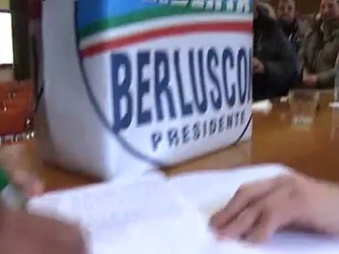 le posizioni del pdl sulle alleanze