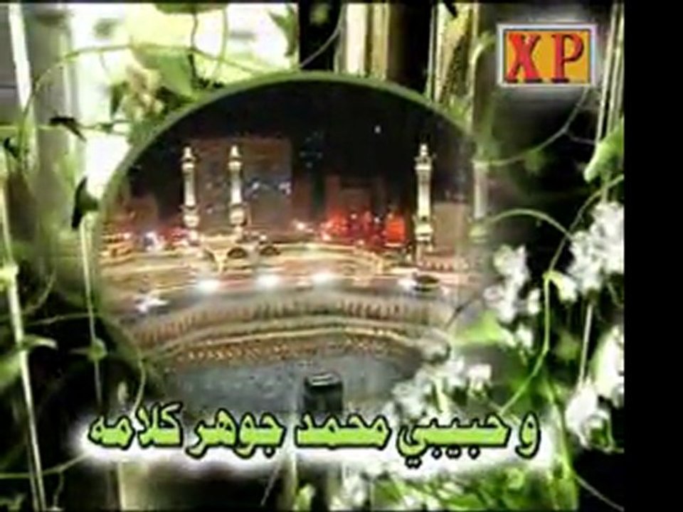 انام اليل