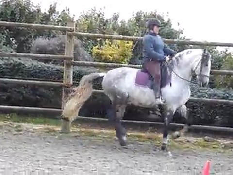 Neptuno Depart au galop