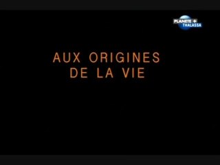 Aux origines de la vie - Les abysses