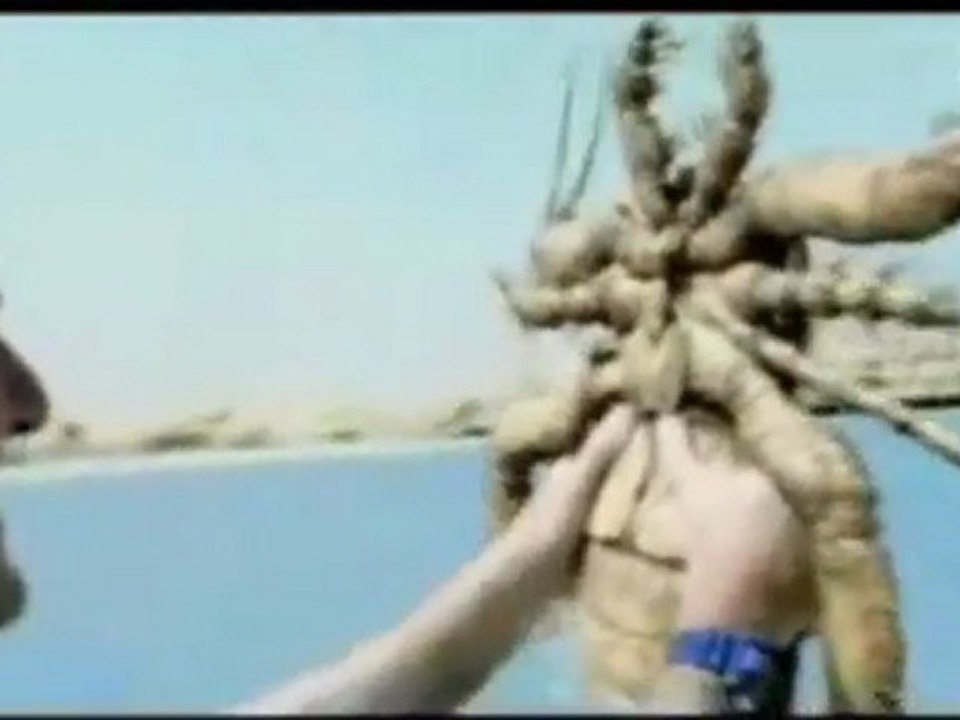 Vor 450 Millionen Jahren, Riesen-Endoceraten, Kopffüßer, Seeskorpione 1