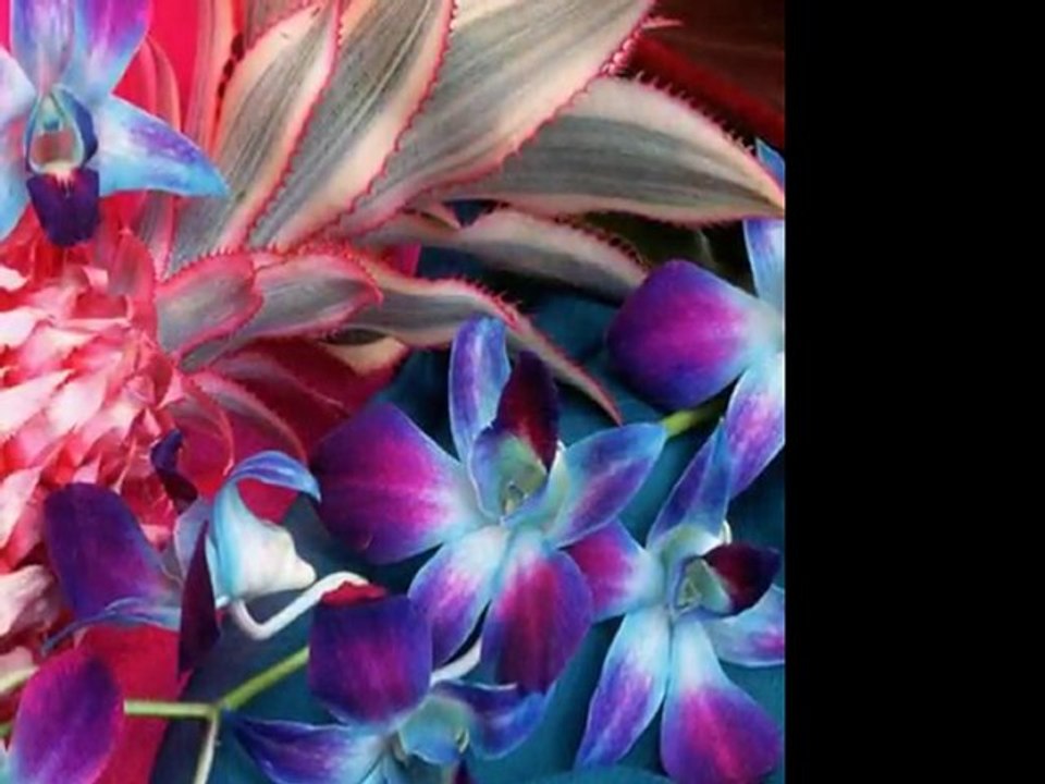 Des fleurs pour vous