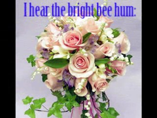 There Is Another Sky