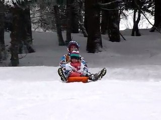 Bob piste de luge Gentiane