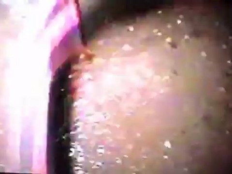 BABY CHAM SPRING BREAK, NEGRIL JAMAICA,(pt1) TURTLEMANTV