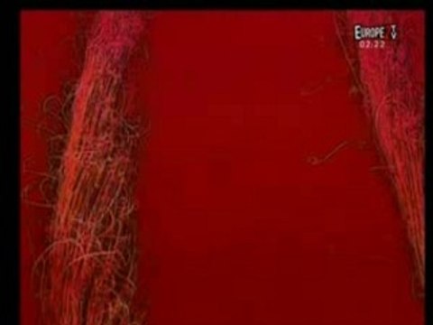 Madonna-Get Together