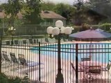 Piccadilly Apartments in Goodlettsville, TN - ForRent.com