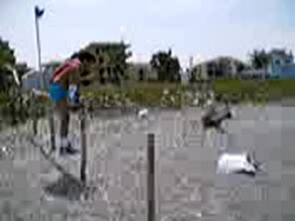 Swanton Bomb