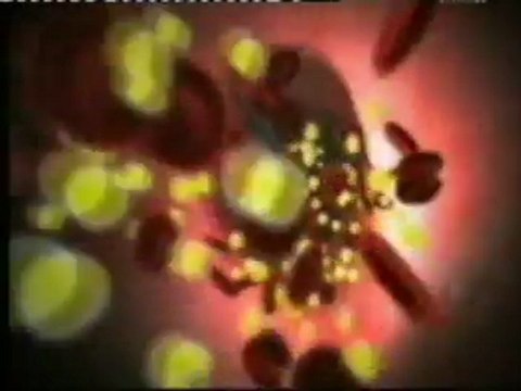 Cocaina: Efectos fisiologicos