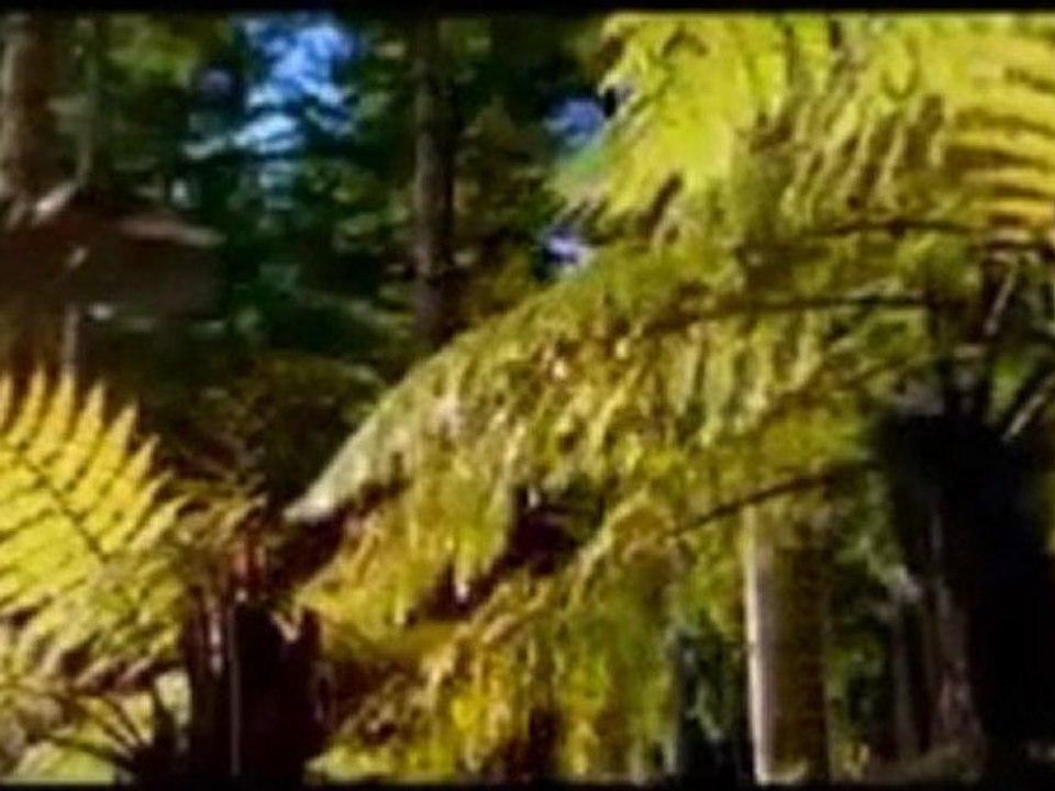 Vor 152 Mio.Jahren - Jura -  Im Reich der Giganten-E02-Die Zeit der Titanen