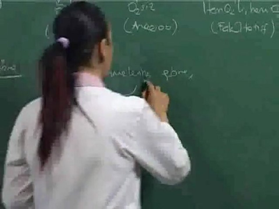 7VVB