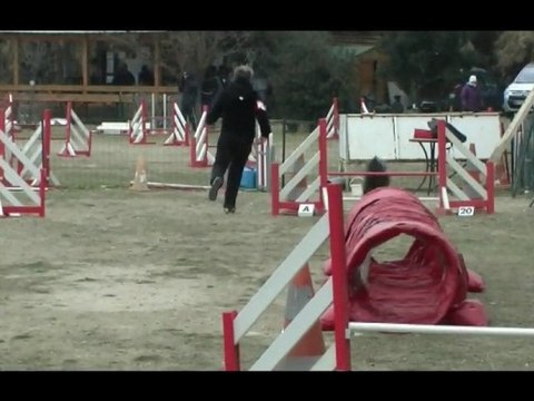 Buck Agility la Venise Provençale 12/02/12