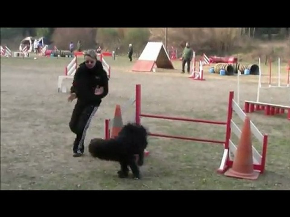 Fierous 1er concours Agility La Venise Provençale 12/02/12