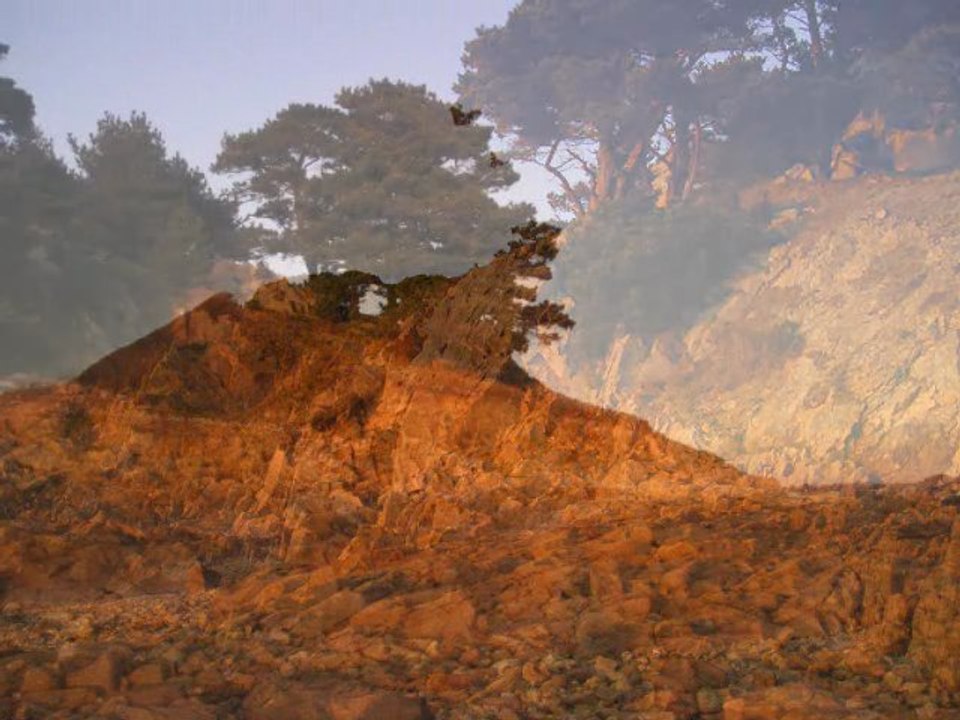 GWALARN  "Ar c'hloareg yaouank"