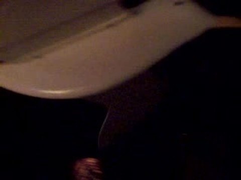 Le vol des mouettes...