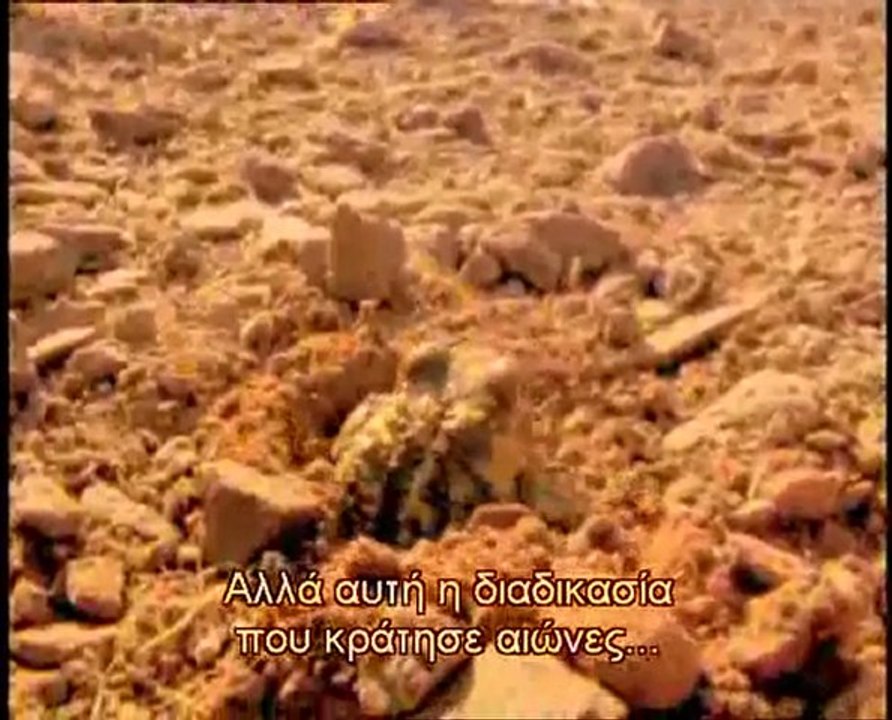 Υπερκινητικός-Τα ζώα που αλλάζουν το σώμα τους