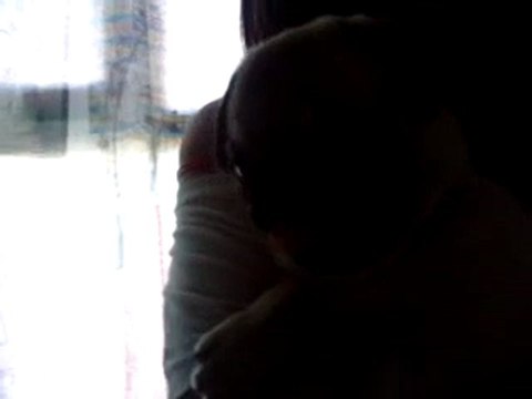 Pug puppy//Chiot carlin qui pleur