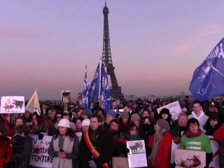 Grand manifestation anti corrida 11.02.2012 (Version longue)