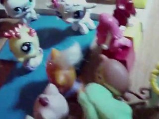 partie 5 Miss Petshop 2012