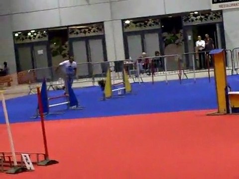 René et Elfe Jumping Concours d'agility FIM 2011