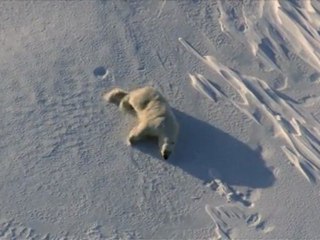 Terres de glace : aux bouts du monde (partie 1)