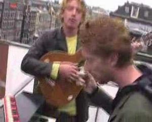 APES IN THE ORANGE GROVE (BalconyTV)