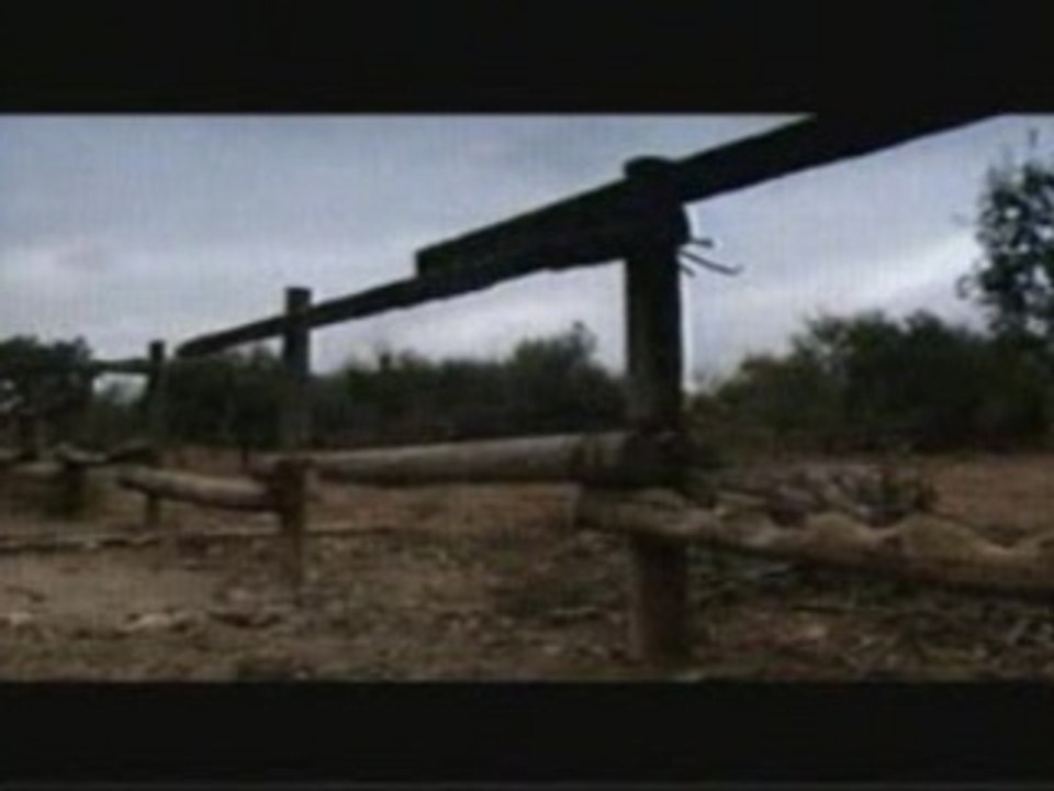 Brice de Nice - Le cochon d'inde